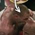 The Steroid That Made Mike Tyson Bite Evander Holyfield S Ear Off Derek More Plates More Dates