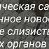 Собачка с венерической саркомой Донецкий приют 4 ЛАПКИ