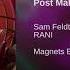 Sam Feldt Post Malone Audio Feat RANI Magnets