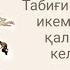 ЖАСТЫҚТЫҢ КІЛТІ ИКЕМДІЛІКТЕ БУЫНДАР НЕГЕ СЫҚЫРЛАЙДЫ БУЫНДАР НЕГЕ АУЫРАДЫ