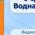 Тема 9 Понятие о среде жизни Водная среда жизни