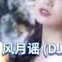 风月谣DJ DJ名龙版 Remix Tiktok The Ballad Of The Moon And The Wind Hot Tiktok Douyin