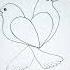 Love Birds Drawing Birds Shorts