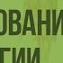 Методы исследования в биологии Видеоурок по биологии 10 класс