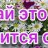 С Добрым Утром Красивейшая Душевная Песня Красивое пожелание доброго утра и хорошего дня