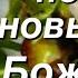 Ты мне подарил новый день Боже мой 2 христианский стих читает автор Анна Юркин