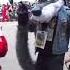 Anthrocon 2022 16 Fursuit Parade Raging Pineapple The Avali Braeburned And Ransu