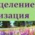 Музыка для гармонизации тела души и сознания Почувствуйте связь с Вашим Высшим Я