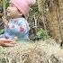 FULL VIDEO 100 Days Of Building A Bamboo House Starting Life As A Single Mother Build Daily Life