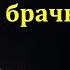 Серия вопросов на брачную тему П Г Костюченко МСЦ ЕХБ