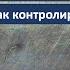 АДЕНОМА ПРОСТАТЫ Как долго принимать лекарства и какие Как контролировать лечение