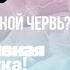 Феномен навязчивых мелодий или почему какая то песня заедает в голове