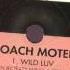 Roach Motel Wild Luv