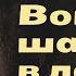 Вой шакалов в лесу