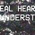 Real Heart Misunderstood Official Lyric Video