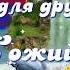 С ГОДОВЩИНОЙ СВАДЬБЫ Самое красивое поздравление на годовщину свадьбы Музыкальная видео открытка