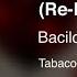 Bacilos Morat Tabaco Y Chanel Re Recorded Audio Oficial