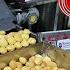 Small Pani Puri Machine Automatic Earn Money From Panipuri Business