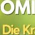 Hormonchaos Reizdarm Schlafstörungen Mehr Wegen ADRENALIN DOMINANZ Das Kann Man Tun