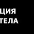 Медитация Индукционная техника Части тела Доктор Джо Диспенза 1 неделя