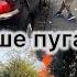 Больше пугали Пищевая моль мои покупки отправила назад Разбираем Дачу приглашение влог