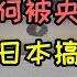 王志安为何被央视辞退 深挖王局黑历史 见不得光的调查记者 预设立场先射箭再画靶 吃体制红利反体制 被辞退后出逃日本搞反共 反华反共大业靠嘴能赢吗 央视记者为什么公知反贼多 美国人表示 好用 便宜