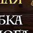 Типичная Ошибка Новичков Тарологов Сравнение Систем Таро