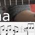 Learn To Play Havana Camila Cabello Fingerstyle Guitar Tutorial