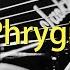 B Phrygian Metal Guitar Backing Track 138 Bpm