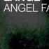 Lange Angel Falls Official