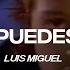 Luis Miguel Ahora Te Puedes Marchar Lyric Video CantoYo