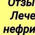 КАНЕФРОН Н Бионорика Отзывы врачей Лечение МКБ нефрита и цистита