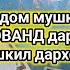 НАМОЗИ ШАНБЕ ХУДОВАНД ХАМА МАСЪАЛАХОРО ХАЛ МЕКУНАД