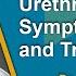 Urethral Stricture Symptoms And Treatment