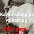 Kawin Silang Pe Vs Kacang Kawin Silang Kambing Pe