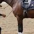 Saftey Tips For A Young Horse Bending And Yeilding