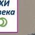 4 е эпохи в жизни человека или Pr НОВОЛУНИЯ как линия развития человека Сергеенкова Ольга