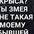 В коридоре суда Алина встретила бывшую свекровь Ну что сбежала как крыса Я знала что ты