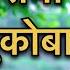 ज ञ न ब र य त क ब र य Bhairavi Dere Dnyanoba Raya Tukoba Raya Dnyanadev Tukaram स त च गजर