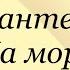 Леонид Пантелеев На море Послушайте Пантелеева аудиокнига пантелеев литература