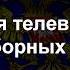 Эволюция предвыборных заставок 1993 2018