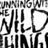 Against The Current Running With The Wild Things Lyrics