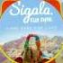 Sigala Came Here For Love Audio