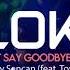 Alok Ilkay Sencan Feat Tove Lo Don T Say Goodbye Extended Mix