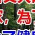 小三帶著丈夫的私生子來到我家 為了報復 我勾搭上了健身教練 情感故事 講故事 兩性情感 故事 老闆娘 倫理故事 生活經驗