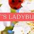 It S Ladybug Feat PrinceWhateverer