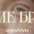 внимание брусника Аквариум Lyric Video