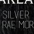 Fakear Silver Lyric Video Ft Rae Morris