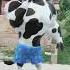 Cow Funny Dance Viral Video Trinding Short