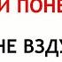 11 ноября День Анастасии Что нельзя делать 11 ноября Народные Приметы и Традиции Дня